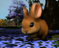 Brown rabbit on a carpet of pinkish/purplish flowers